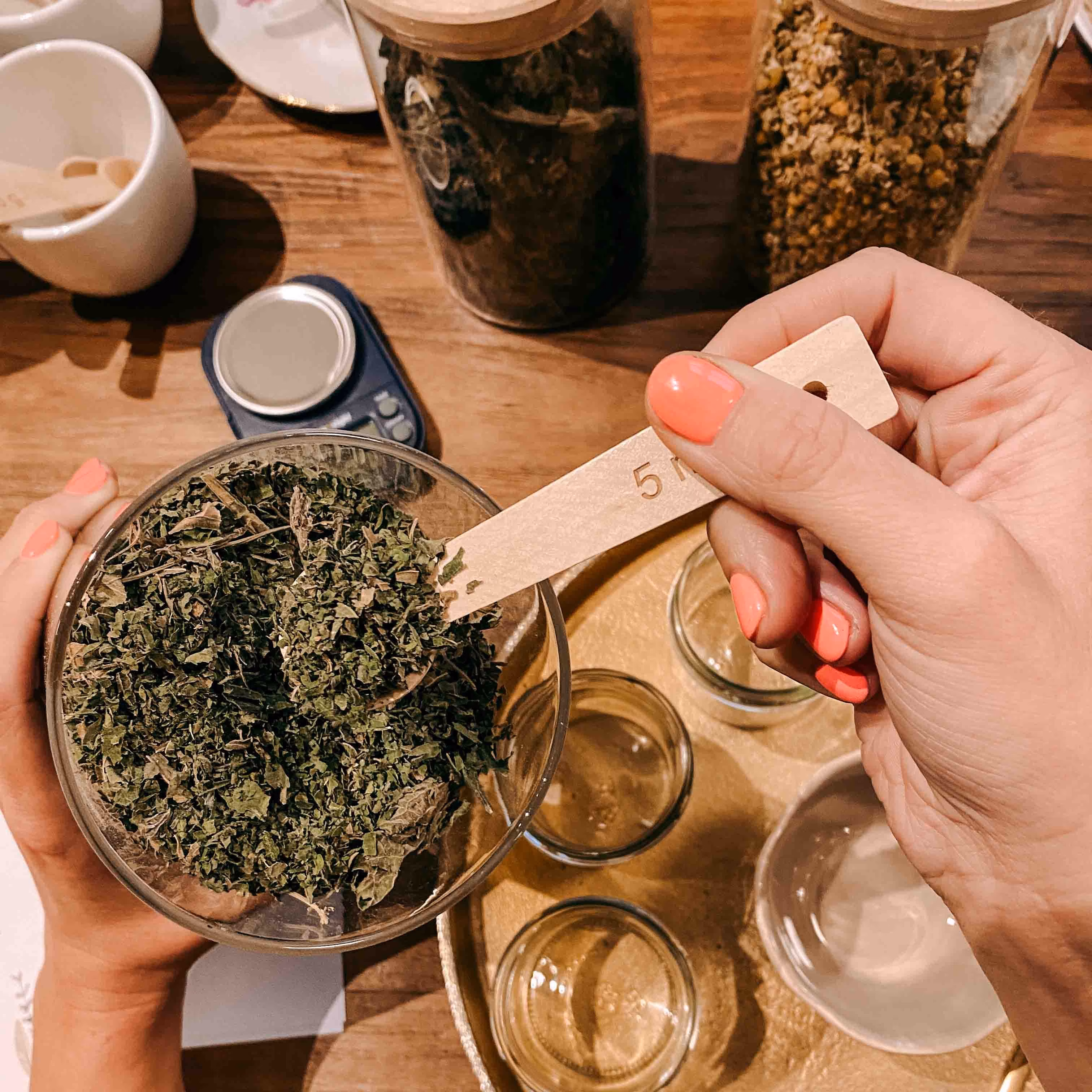 Eine Person hält eine Schale und einen Löffel mit Kräutern