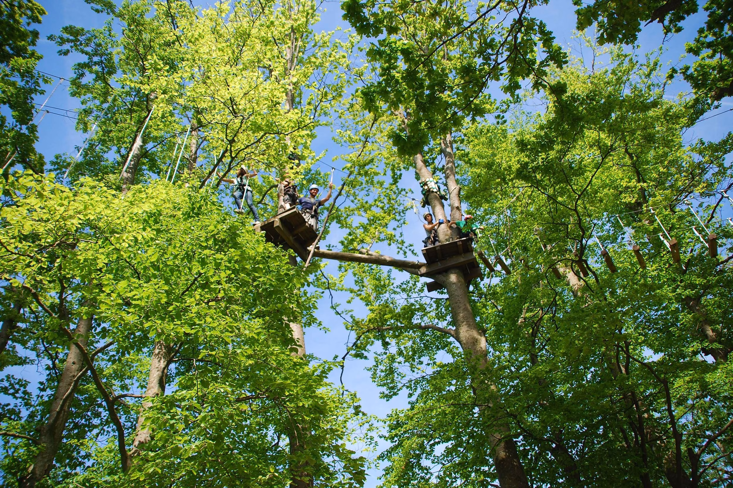 Klettern im Hochseilgarten mit Chiemseeblick