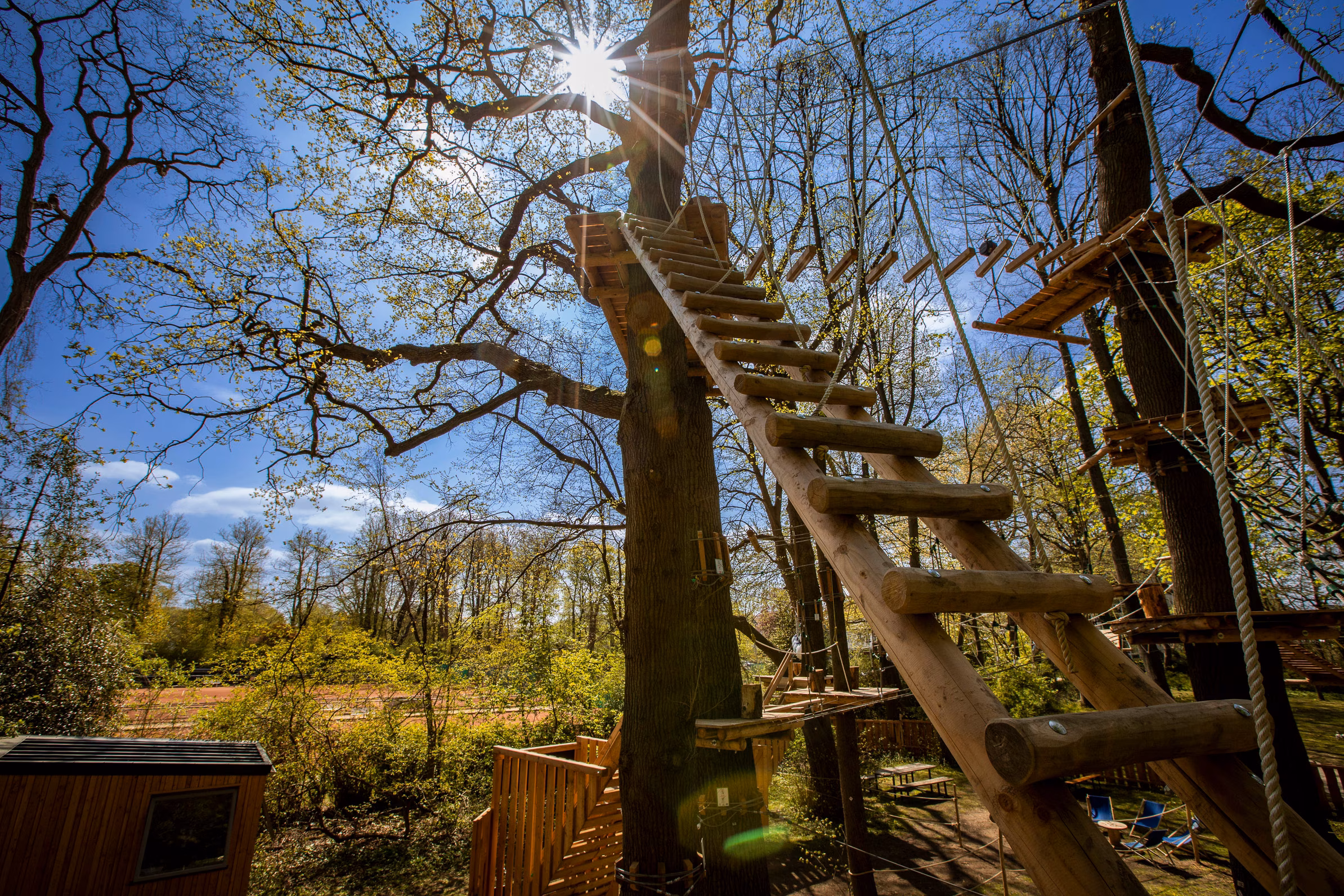 Klettern im Kletterwald Travemünde