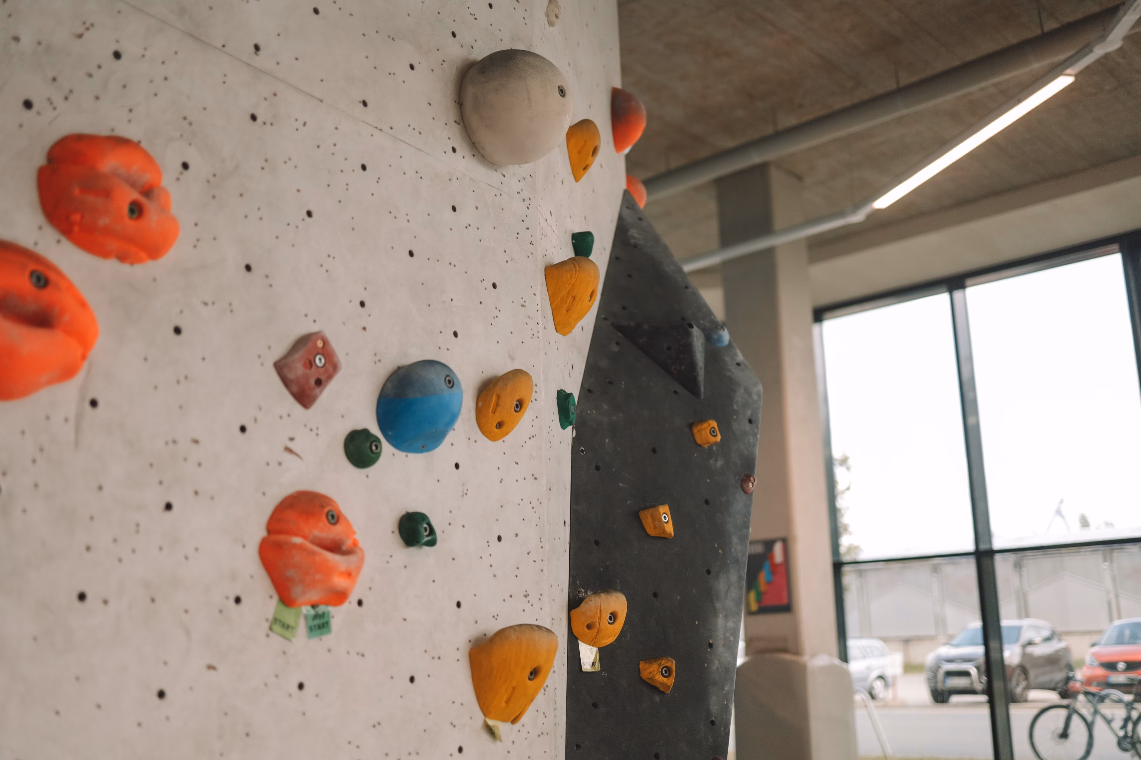 Bouldern in der Boulderhalle Warnemünde