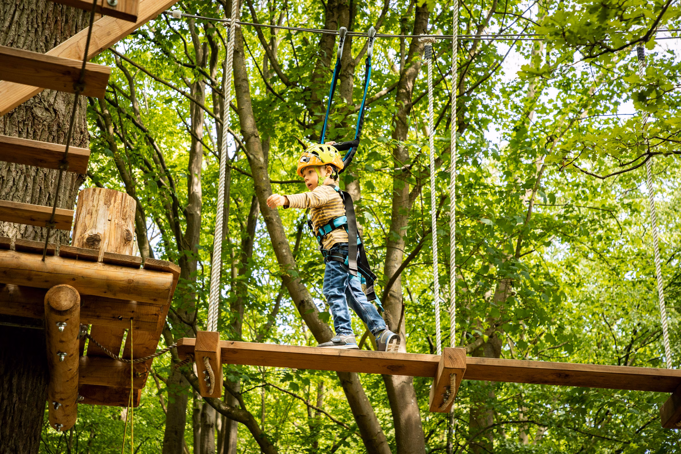 Klettern im Kletterwald Travemünde