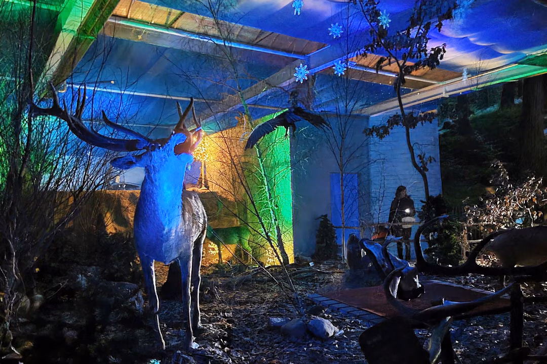 Hirsch mit imposantem Geweih in blau-grün beleuchteter Winterlandschaft mit Schneeflocken-Dekoration, Besucher im Hintergrund