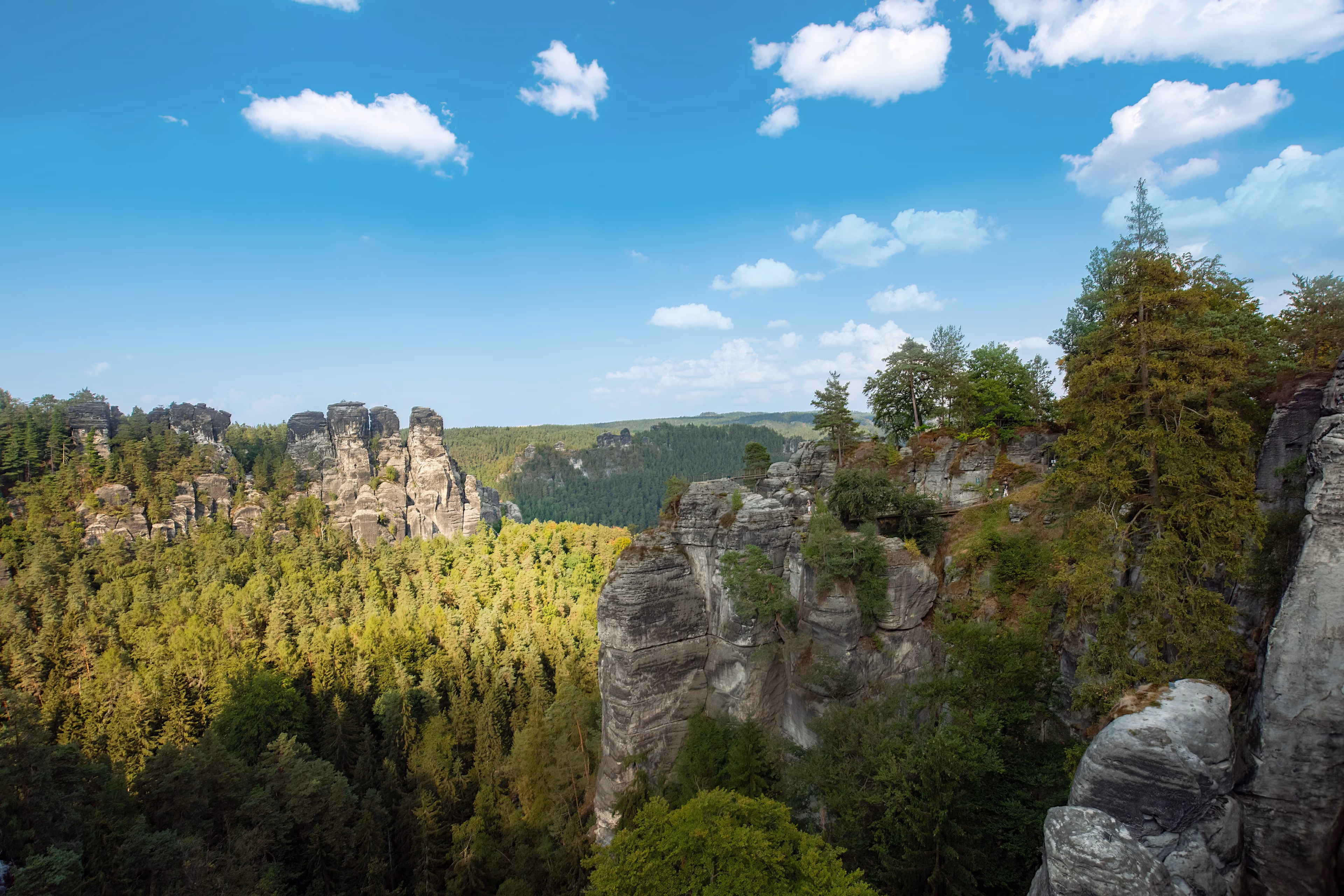 Elbsandsteingebirge mit Baum im Vordergrund