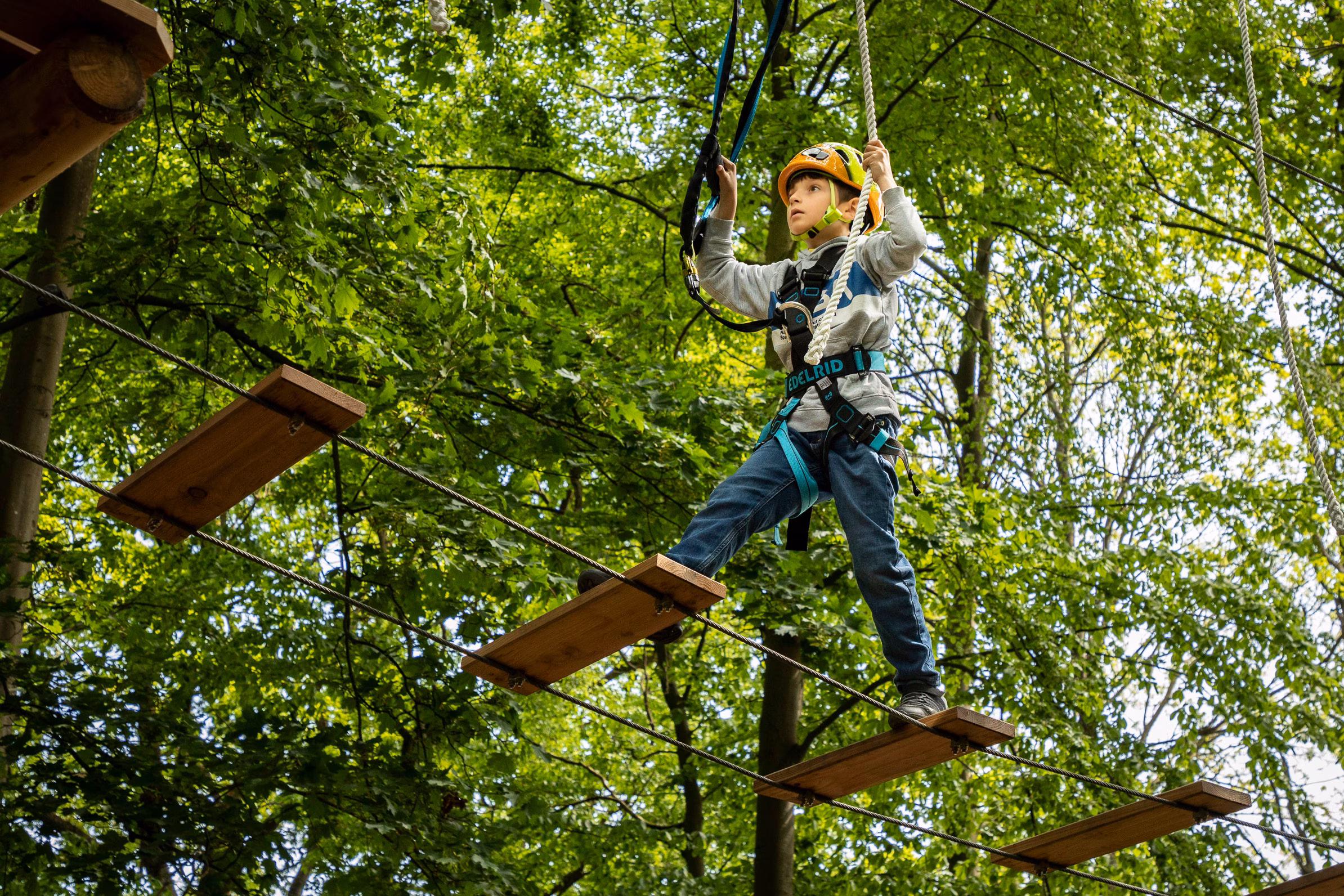 Klettern im Kletterwald Travemünde