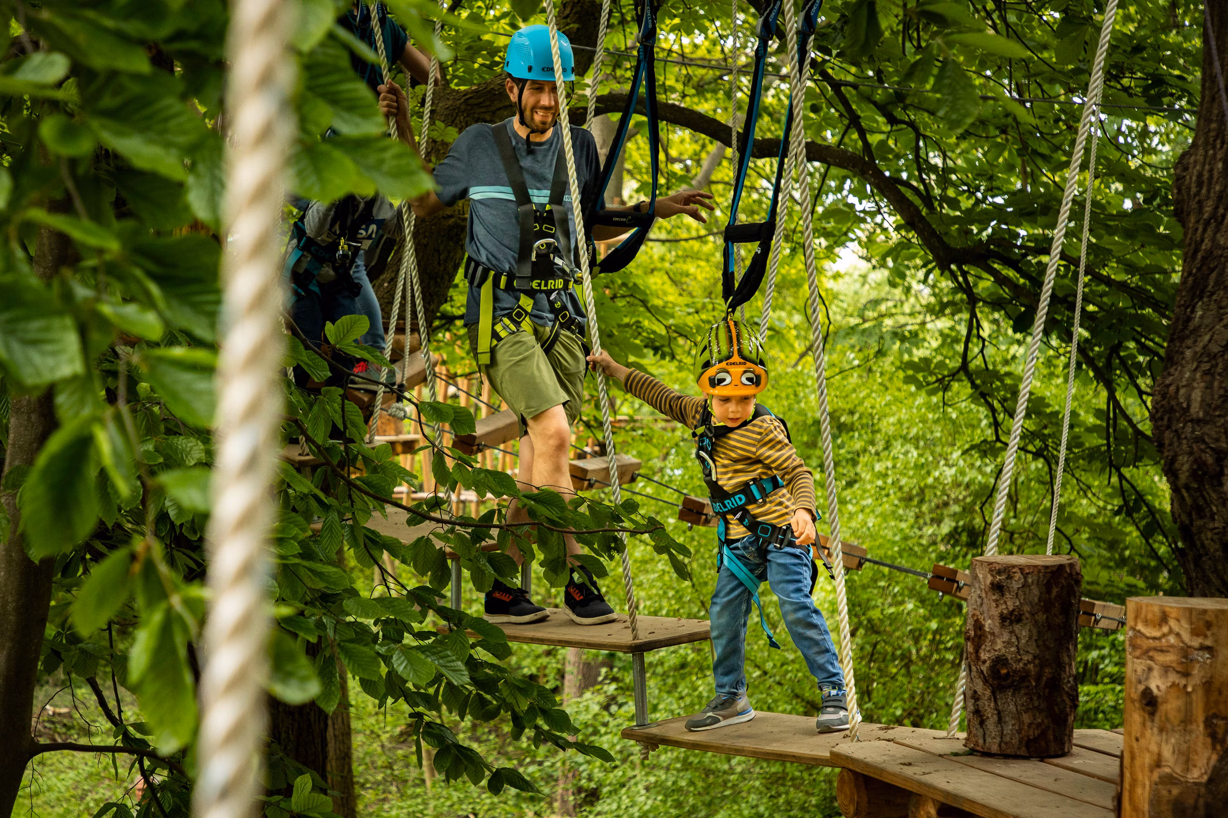 Klettern im Kletterwald Travemünde