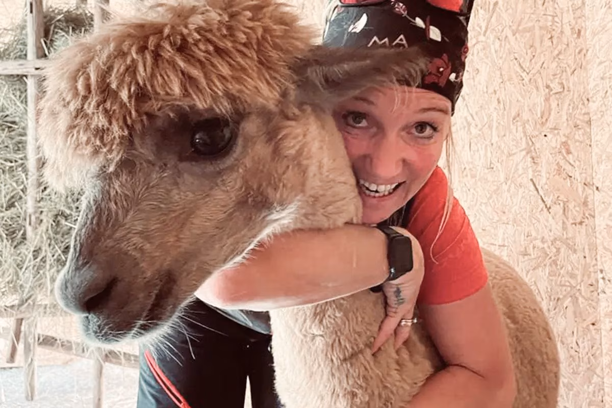 Eine Frau umarmt den Hals eines Alpakas