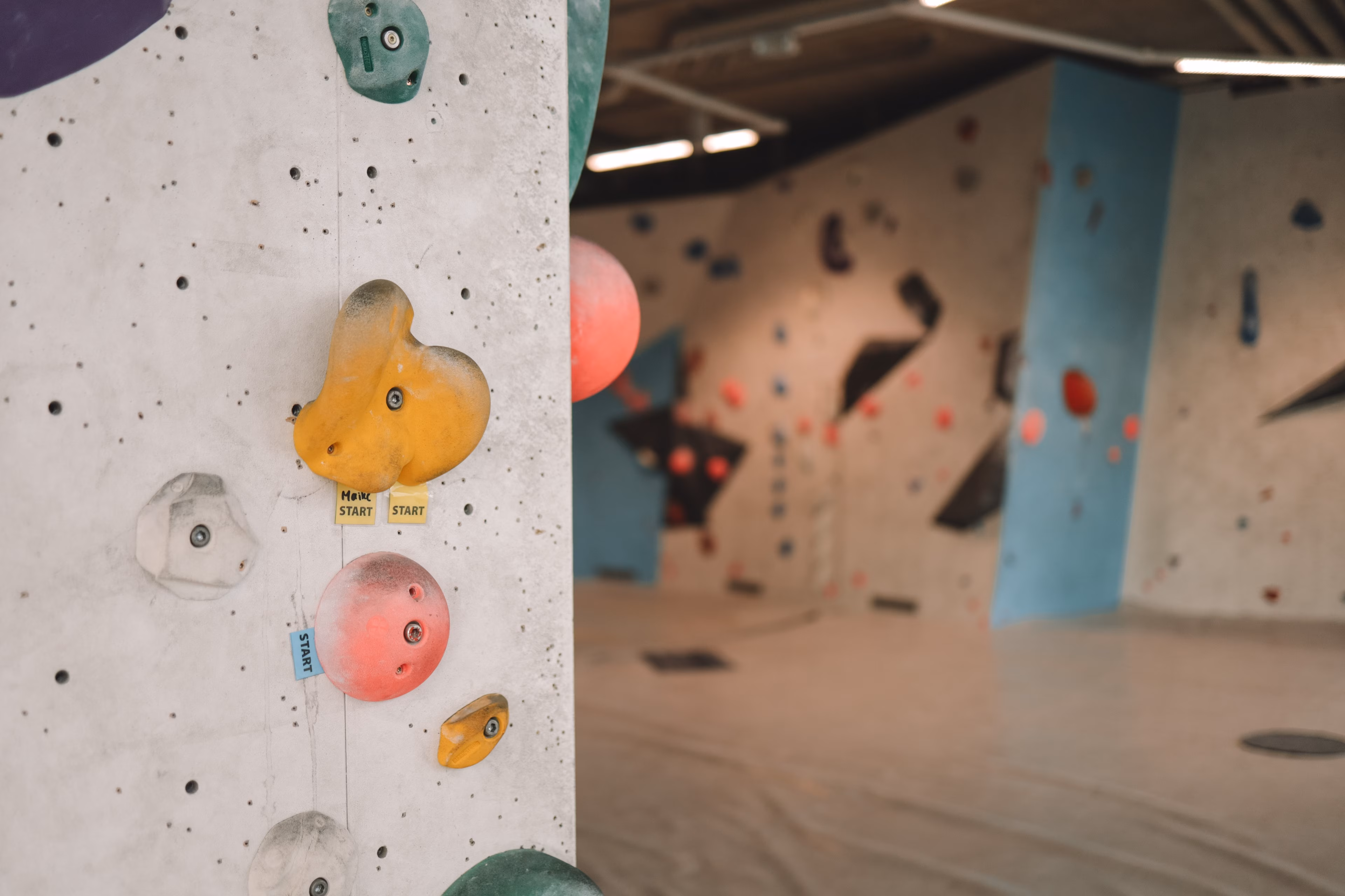 Bouldern in der Boulderhalle Warnemünde