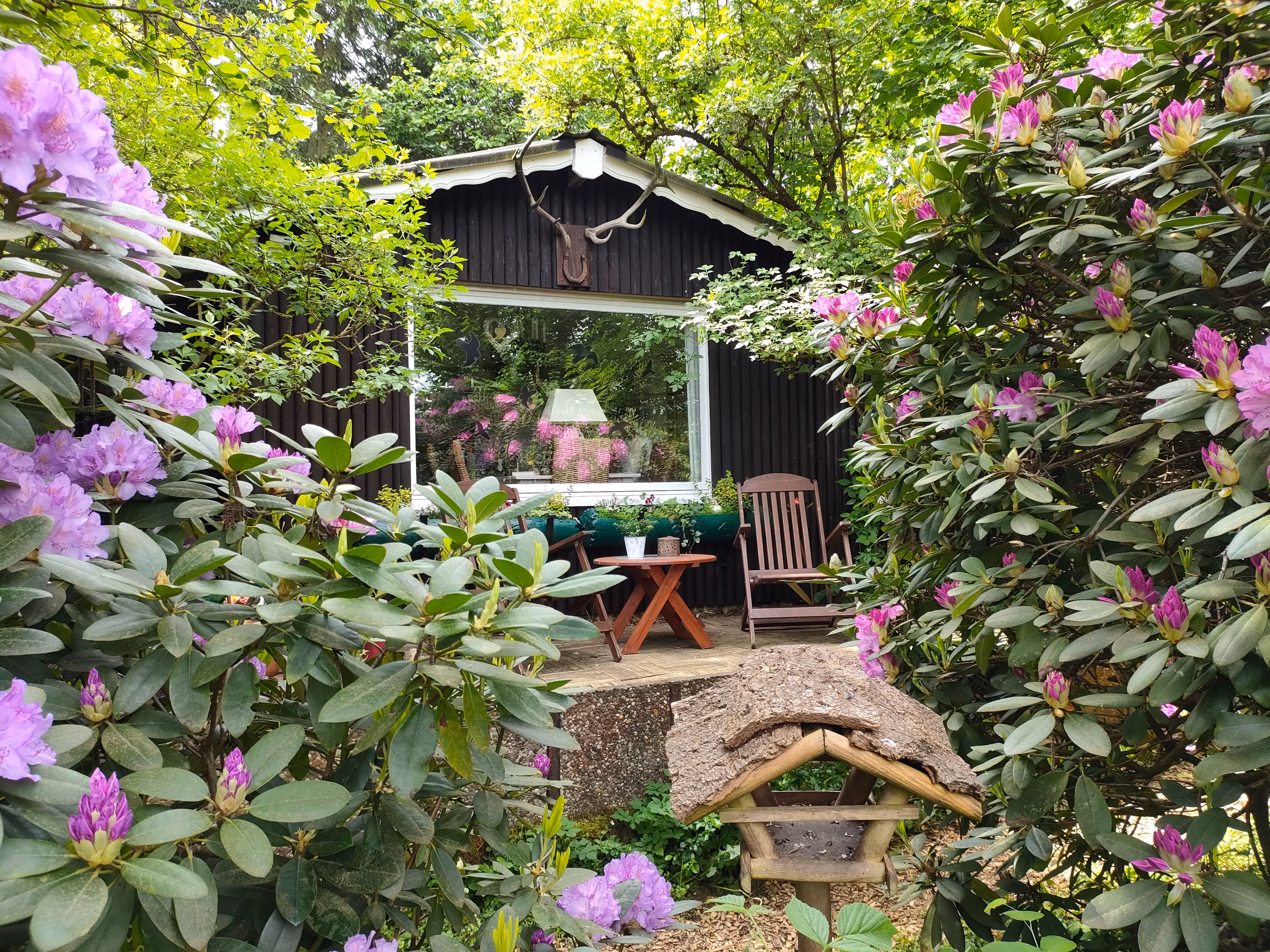 Waldretreat-Wochenende im Frühling