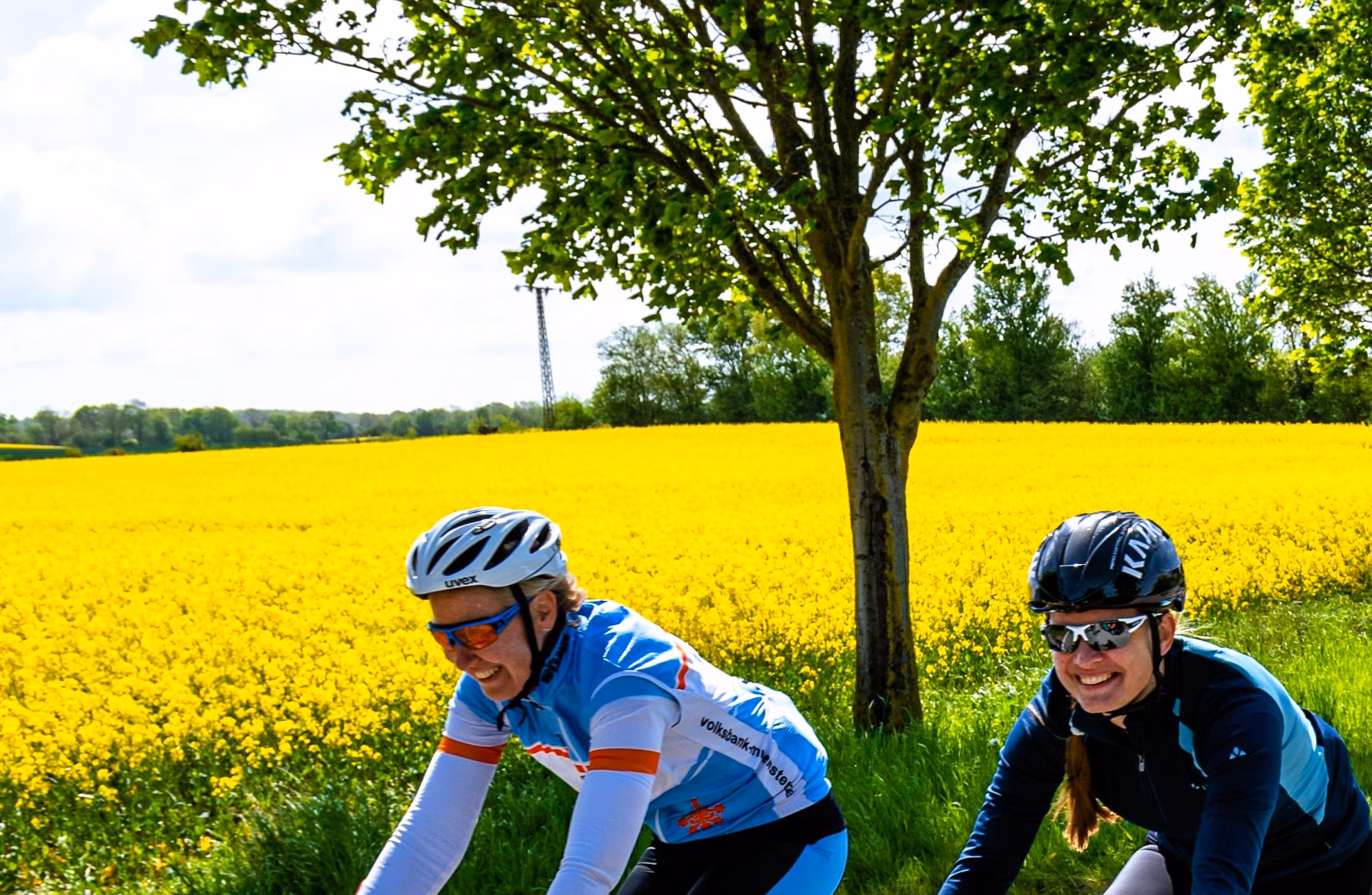 Geführte Radtour zum Fischbrötchen in Lübeck – und zurück