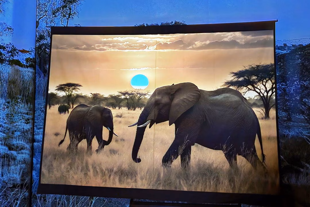 Beleuchtete Diorama-Darstellung zweier Elefanten in afrikanischer Savannenlandschaft bei Sonnenuntergang im Wildlife Usedom.