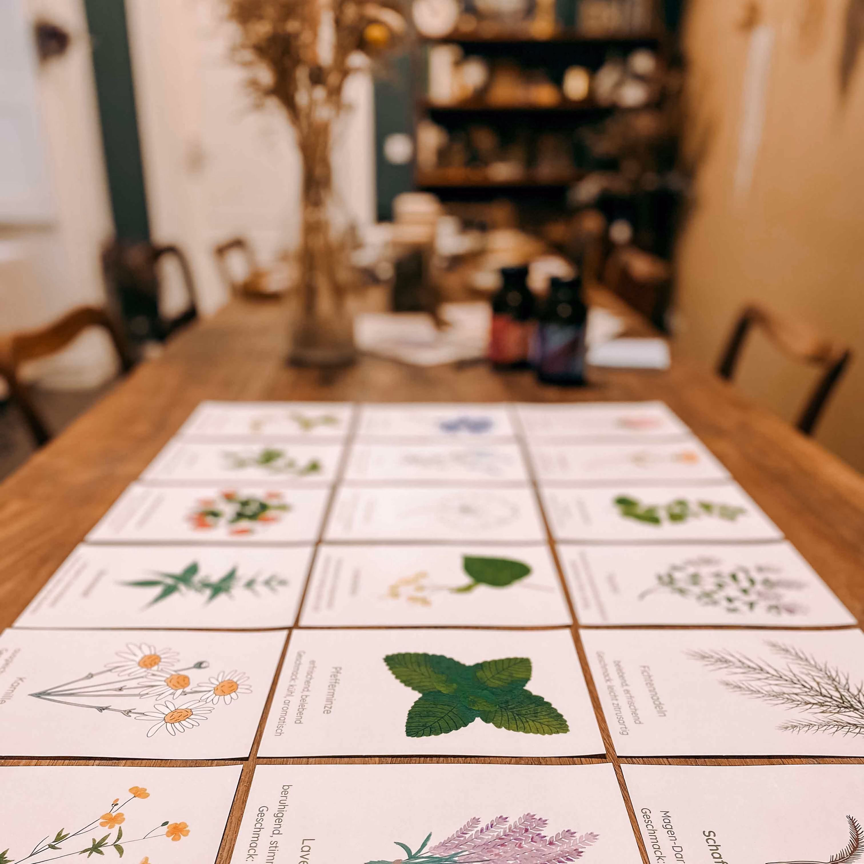 Zettel mit verschiedenen heimischen Kräutern, die für Kräutertee-Mischungen verwendet werden können