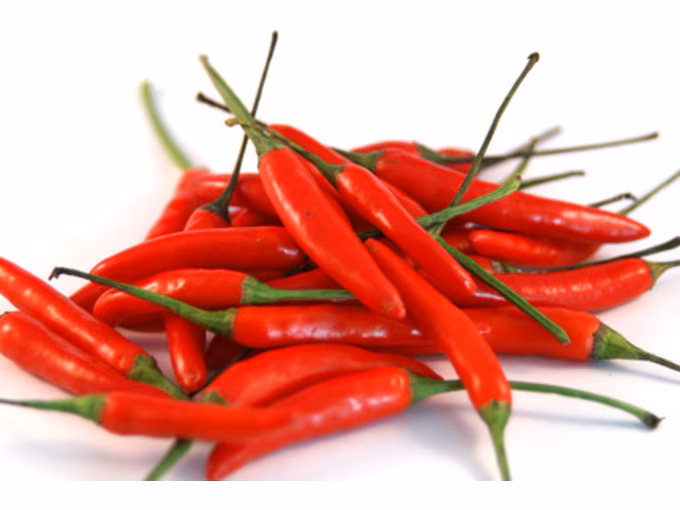 Indisch Kochen – Schatzkammer des Geschmacks