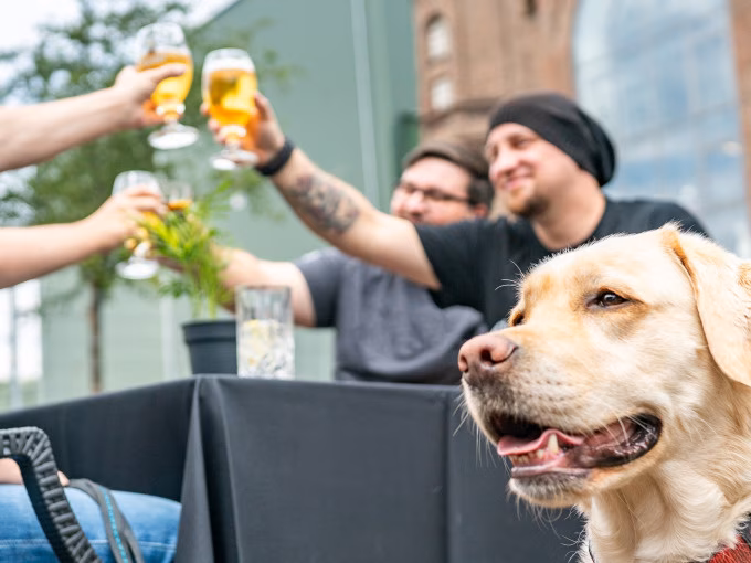 Gesamtmiete ZECHENTREFF