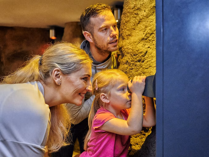 Familienführung im Schaubergwerk Feengrotten + optional Abenteuerwald Feenweltchen