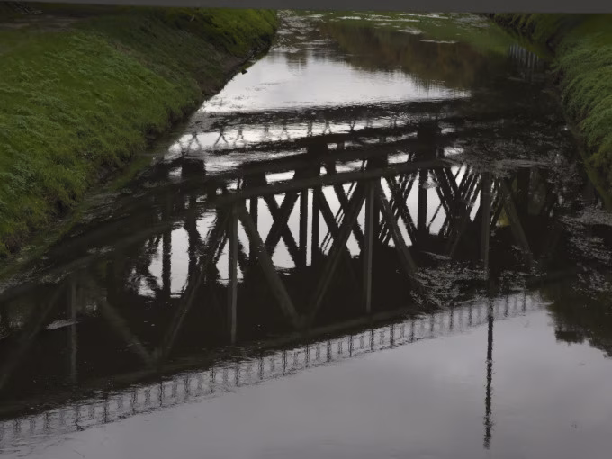 Stirnlampen-Führung Bernepark - exklusive, private Gruppen-Führung