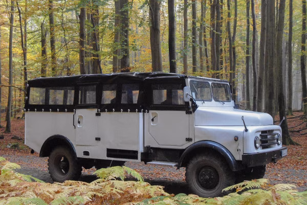 HANOMAG AL 28 im Nationalpark Jasmund