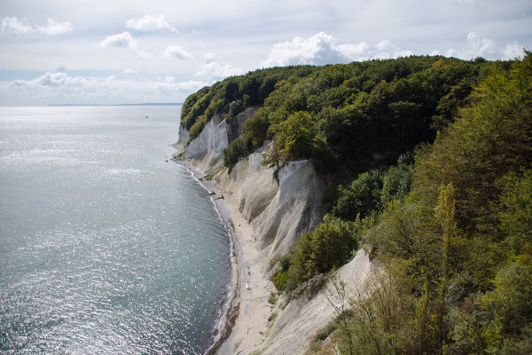 Kreidfelsen im Nationalpark Jasmund