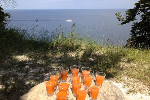 Selbst gemachter Sanddornlikör