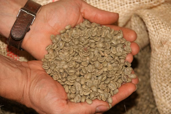 Kaffee wurde in der Speicherstadt veredelt