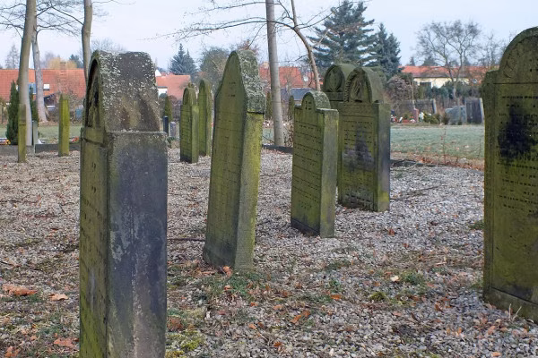 Wir zeigen Ihnen die vom alten jüdischen Friedhof umgesetzten Grabsteine.