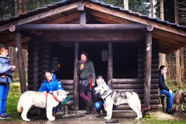 Adrenalintours - Huskywanderung Harz