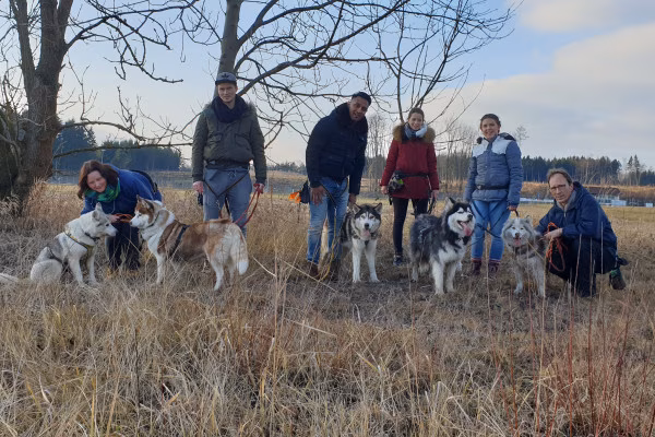 Husky-Wanderung im Unterallgäu 3,50 Std.