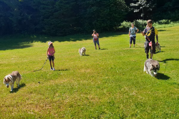 Husky-Wanderung im Unterallgäu 3,50 Std.