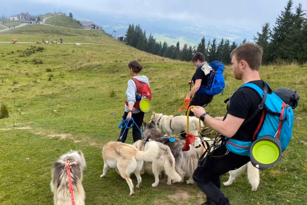 Urlaub bei und mit Huskies