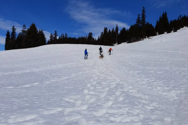 Urlaub bei und mit Huskies