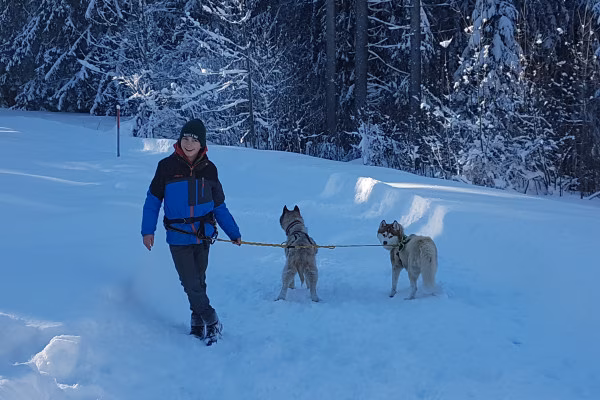 Husky-Wanderung im Unterallgäu 5,0Std