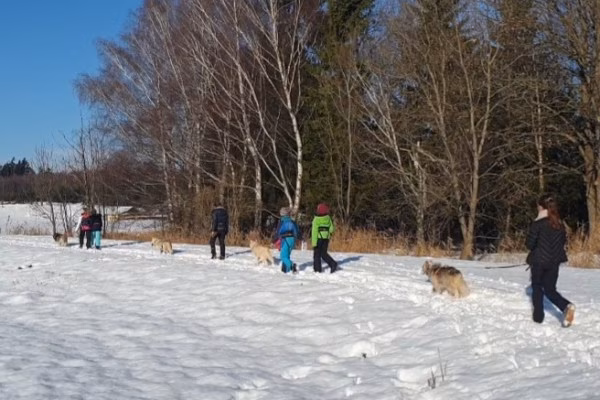 Husky-Wanderung im Unterallgäu 3,50 Std.