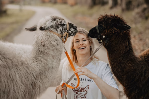 2-stündige Alpaka-Wanderung in der Eifel