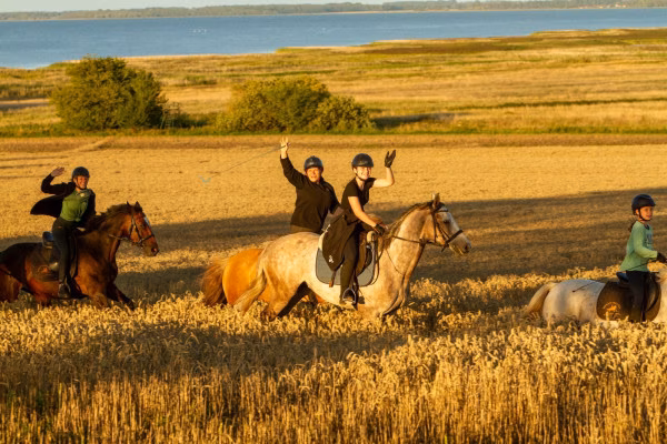 Ausritt durch die Lagunen der Ostsee Schritt-Trab-Galopp
