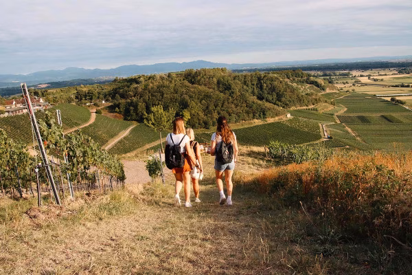 Outdoor-Escape-Abenteuer: In Vino Veritas - Konzer Tälchen