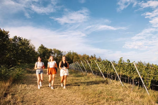 Outdoor-Escape-Abenteuer: In Vino Veritas - Konzer Tälchen