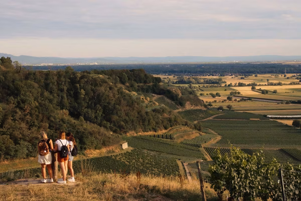 Outdoor-Escape-Abenteuer: In Vino Veritas - Zeil am Main
