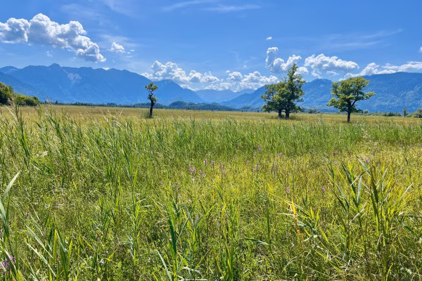 Blick über das Murnauer Moos auf die bayerischen Voralpen und das Wetterstein-Gebirge