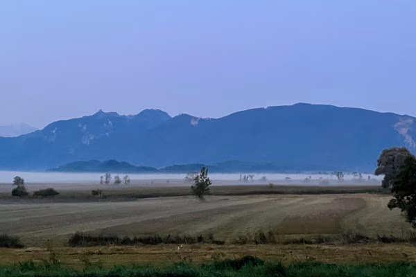 Morgennebel über dem Murnauer Moos