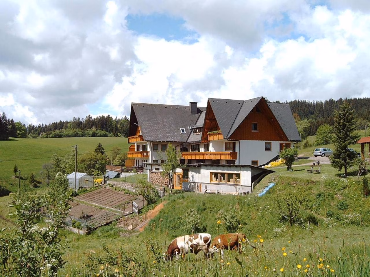 Bild der Unterkunft