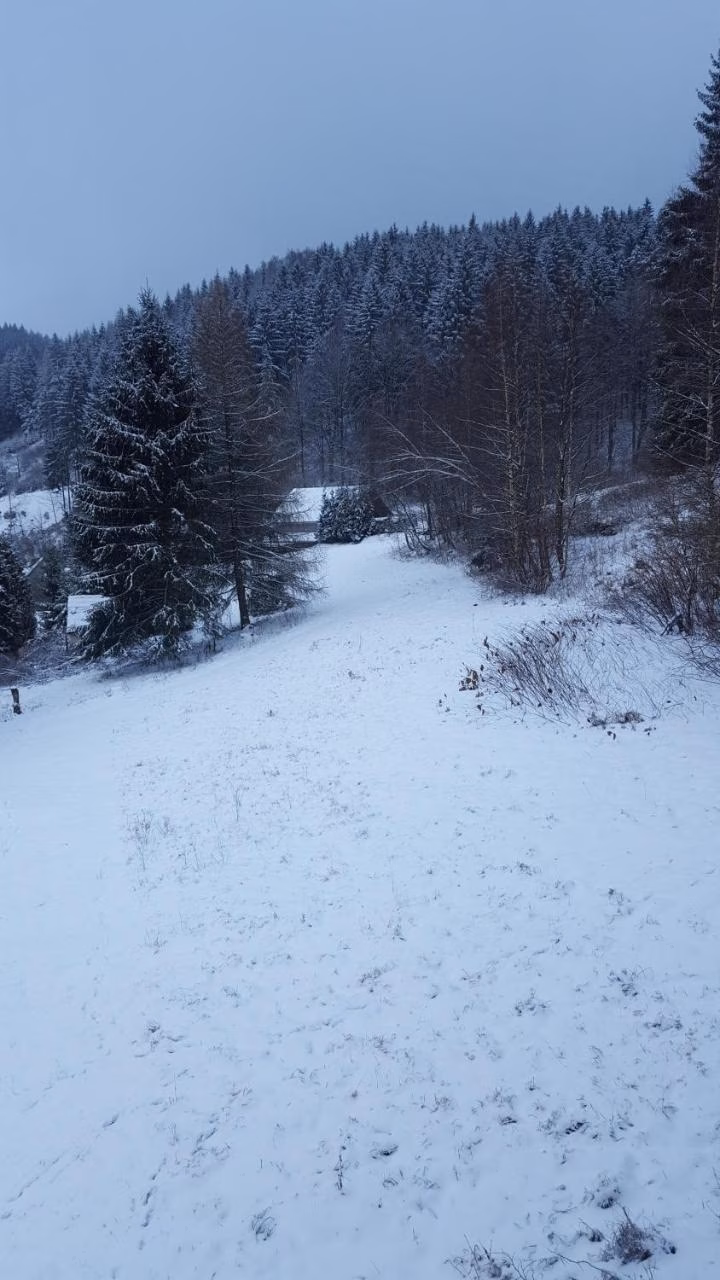 Apartment mit 2 Schlafzimmern