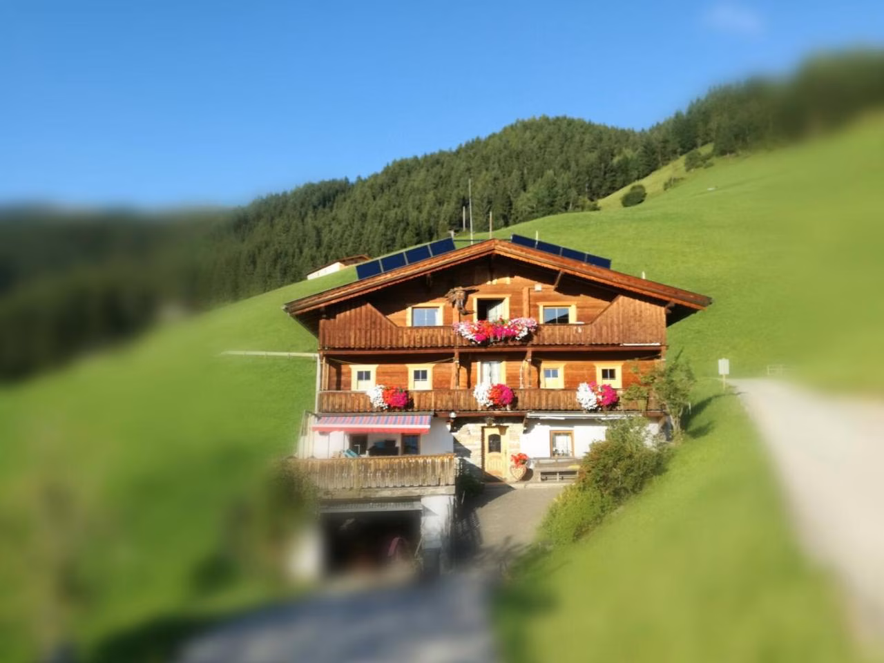 Bild der Unterkunft