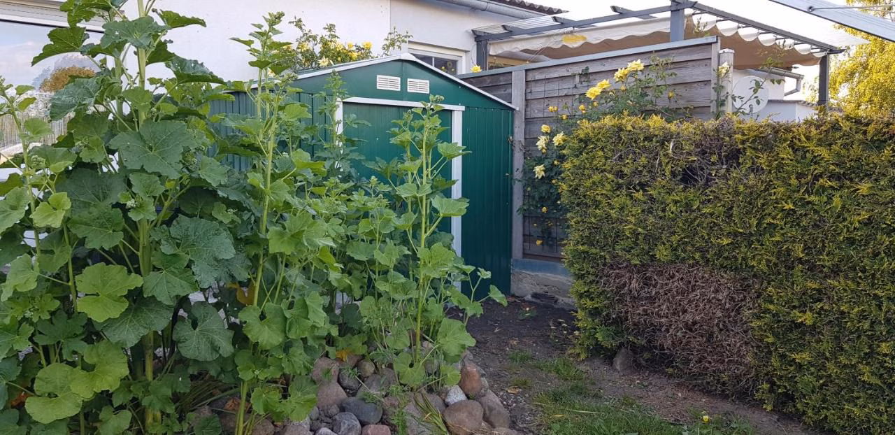 Apartment mit Gartenblick