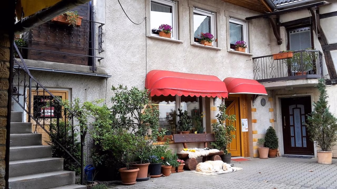 Bild der Unterkunft