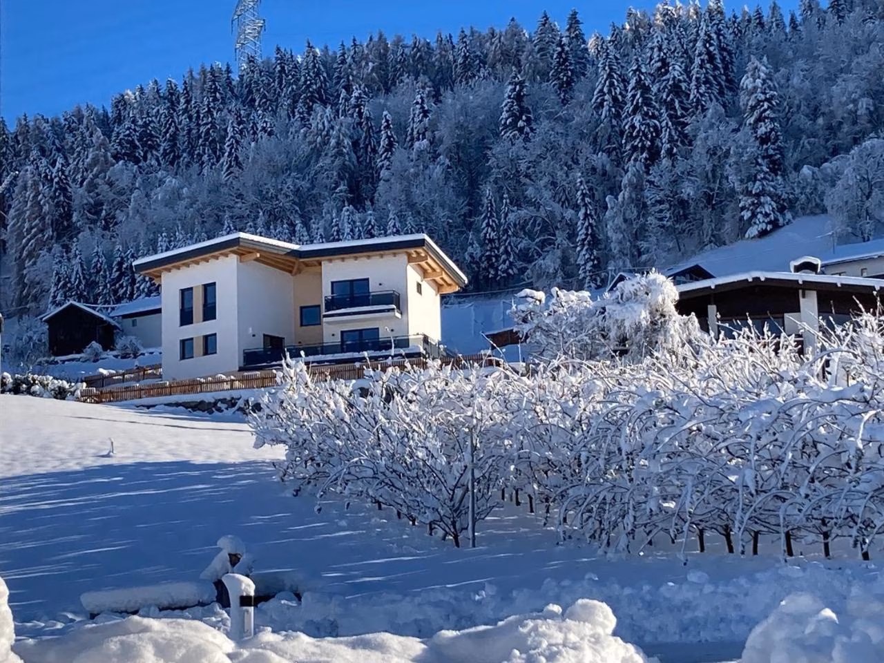 Bild der Unterkunft