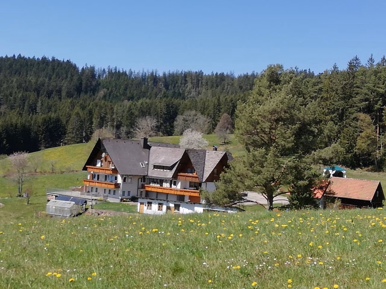 Bild der Unterkunft