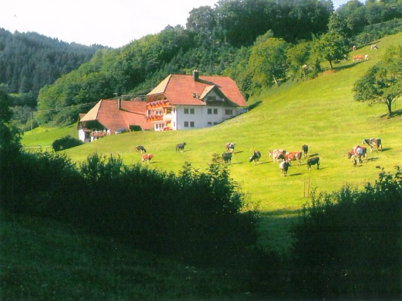 Bild der Unterkunft