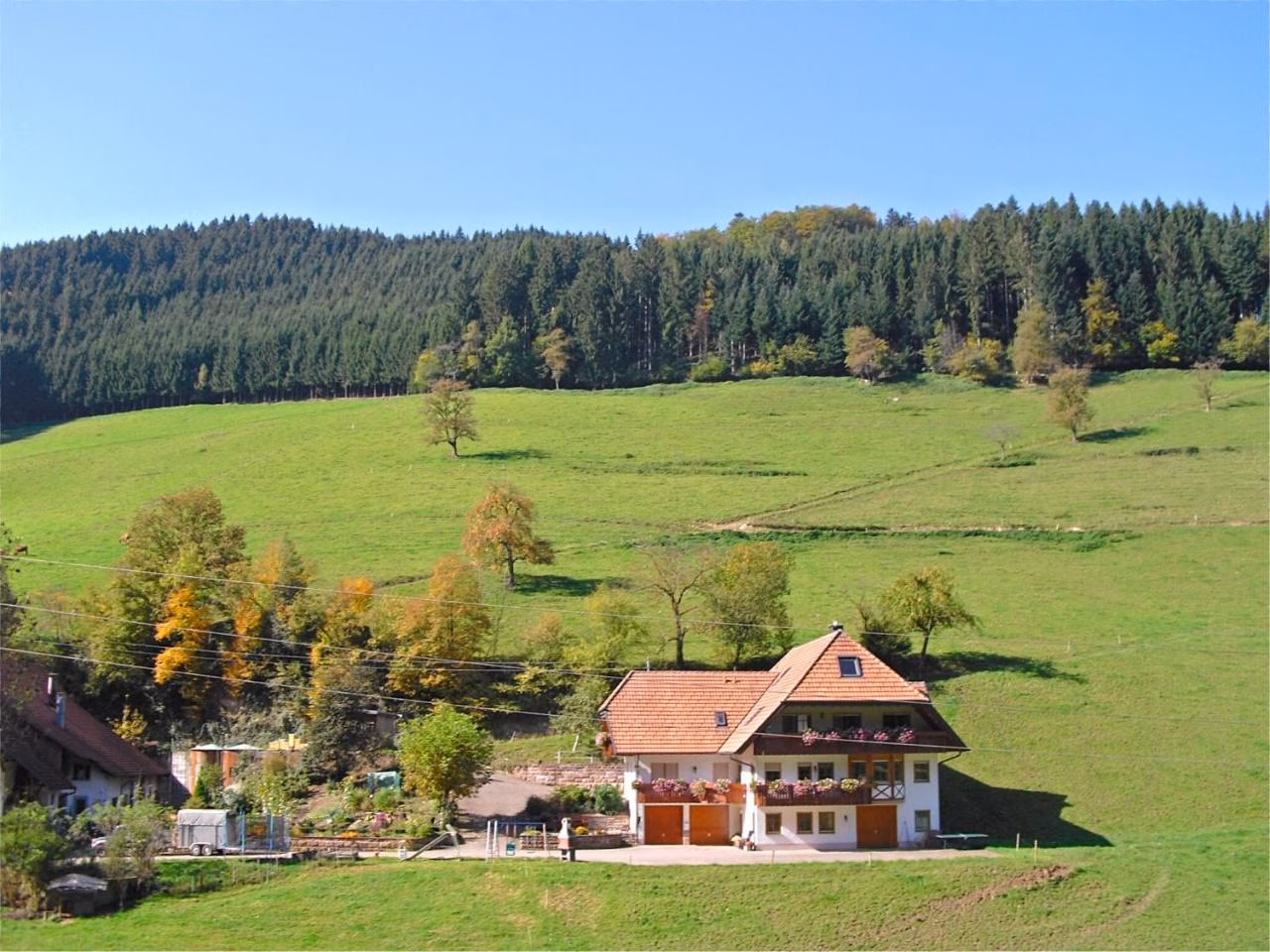 Bild der Unterkunft