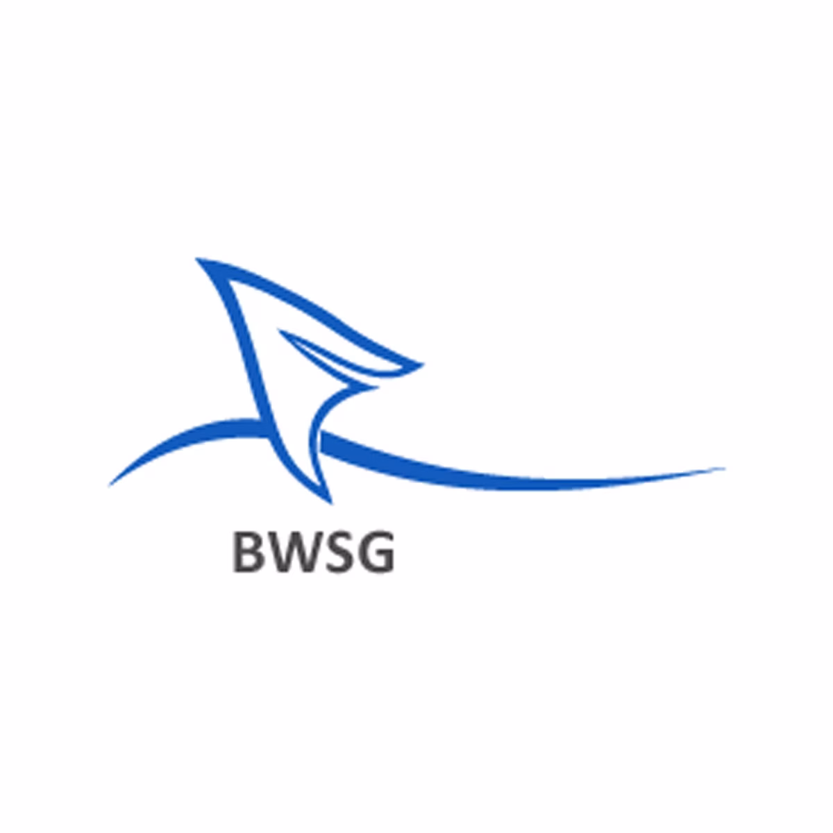 Logo der BWSG