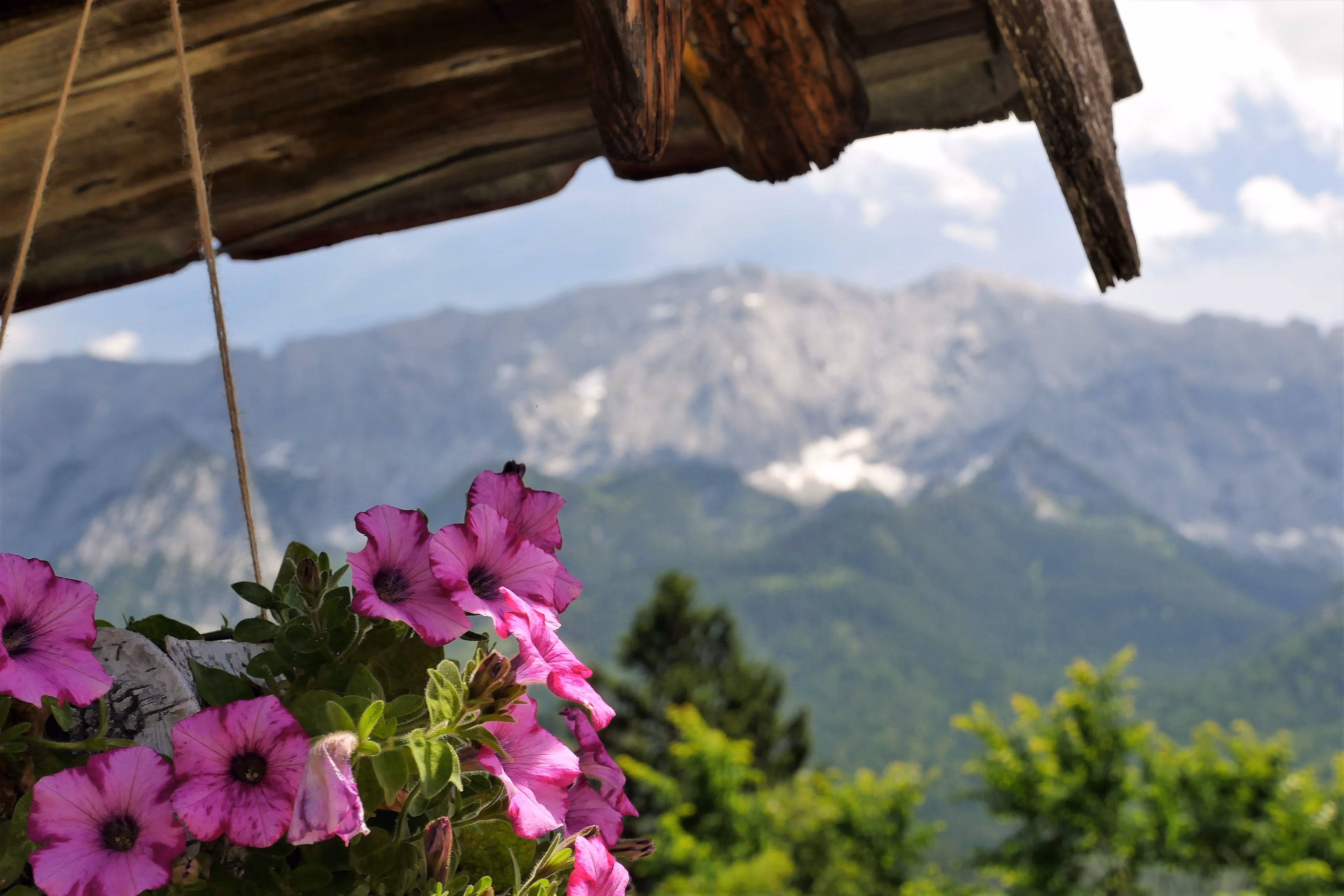 Blumen vor einem Bauernhaus