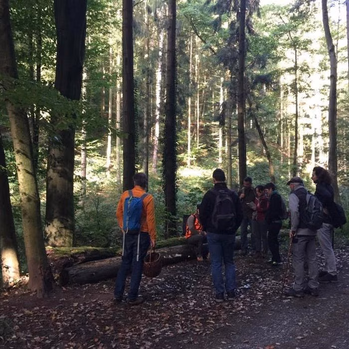 Pilzwanderung bei Hannover